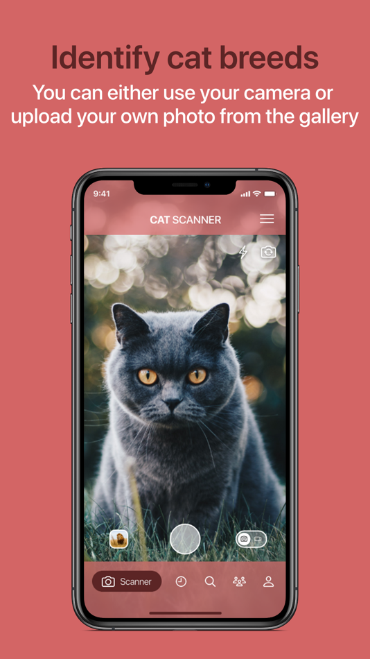 #1. Cat Scanner (iOS) 由: Siwalu Software GmbH