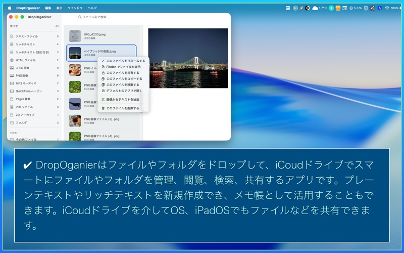 DropOrganizer app screenshot