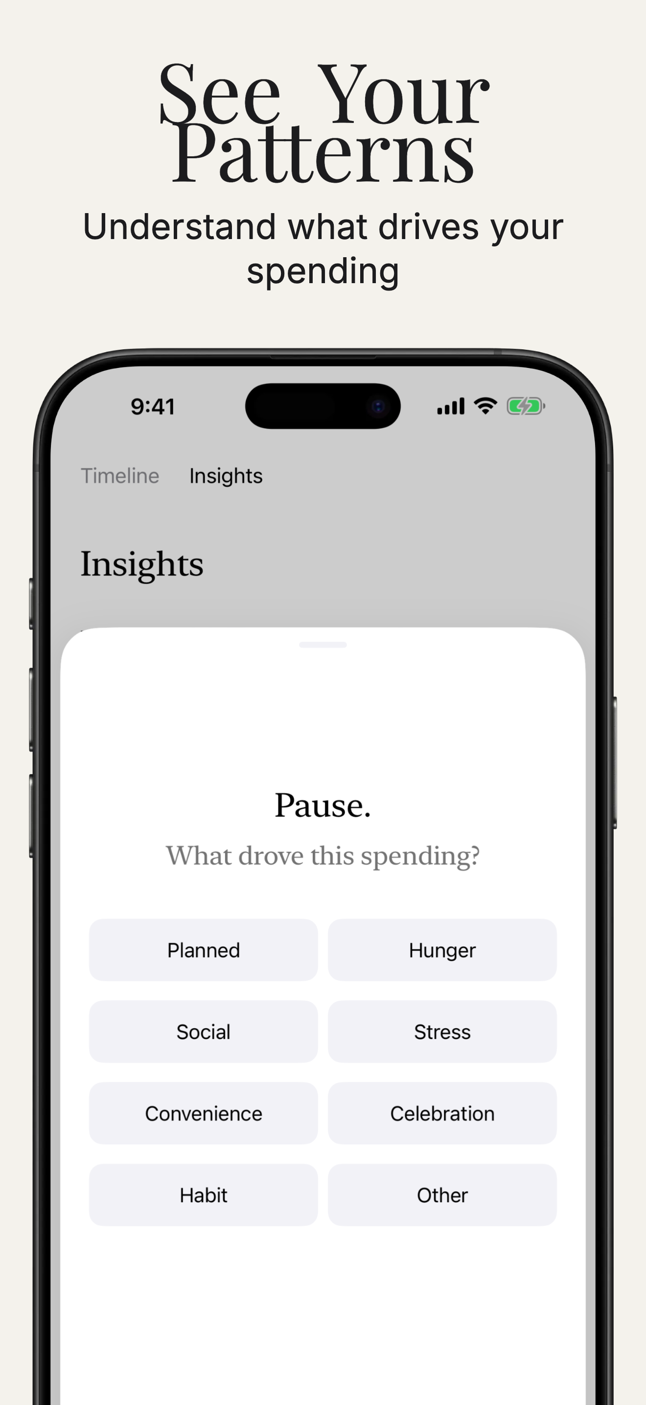 Pause: Expense Tracker screenshot 1