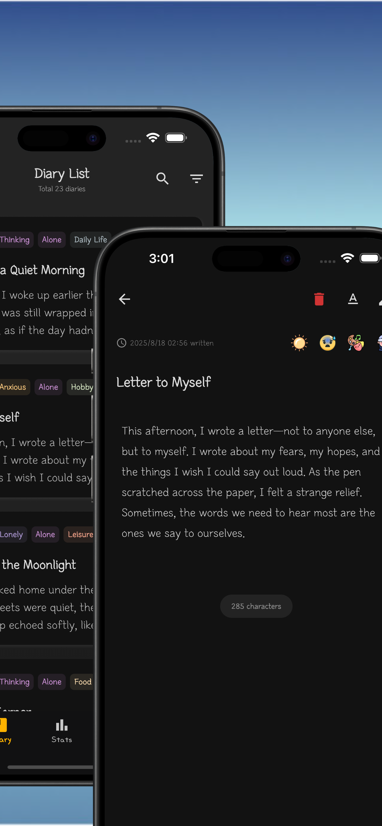 Diaryletter screenshot 9