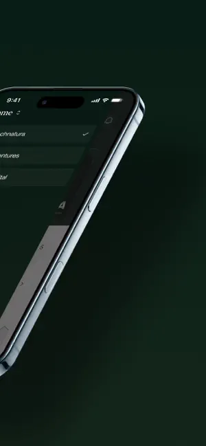 Flex Finance screenshot 3