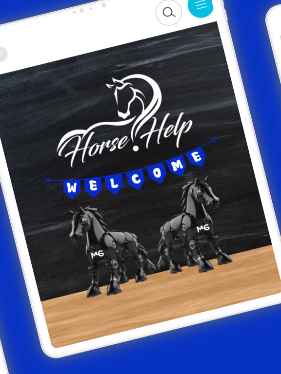 Horse Help iPad screenshot 2 - Education app