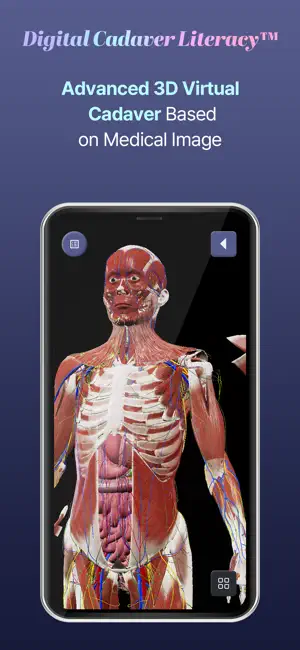 MEDIP Box Anatomy - 3D Cadaver screenshot 1
