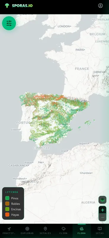sporas.io screenshot 5 of 10