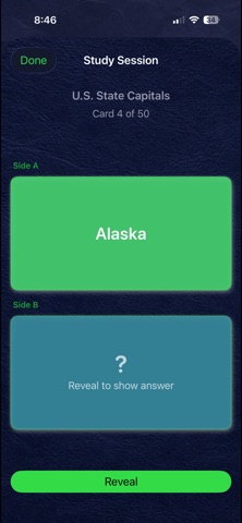 Arkyv Flash screenshot