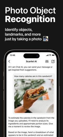 Scarlet AI – Chatbot Assistant iPhone screenshot