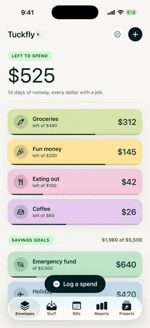 Tuckfly: Budget screenshot 1