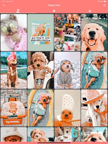 Preppy Dogs Wallpapers 4kのおすすめ画像1