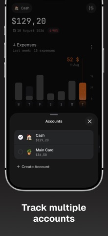 Manual Expense Tracker - Goose Screenshot 6 of 9