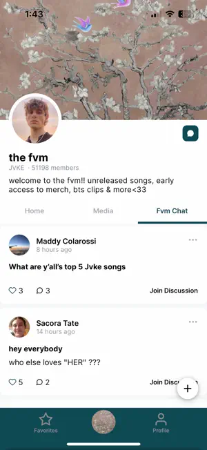 The FVM screenshot 2