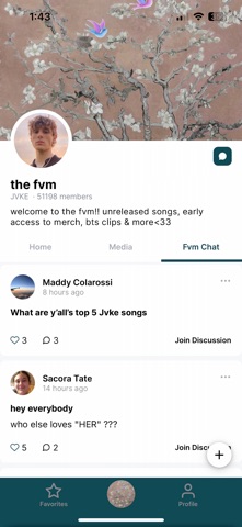 The FVM Screenshot 2 of 6