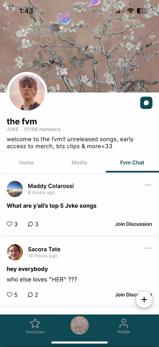 The FVM Screenshot 2 of 6