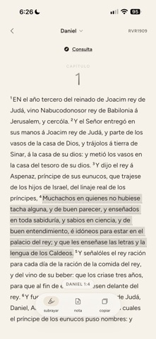 Ner screenshot 2