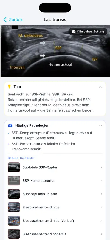 Sono Copilot screenshot 3 of 3