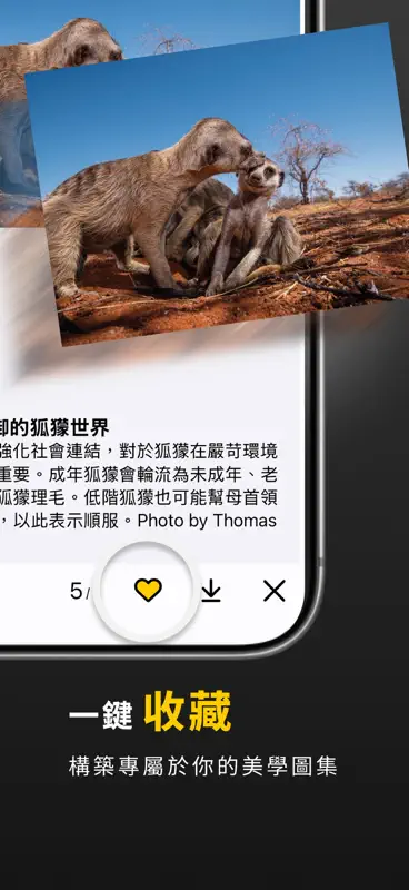 每日精選-國家地理每日精選 screenshot 6 of 6