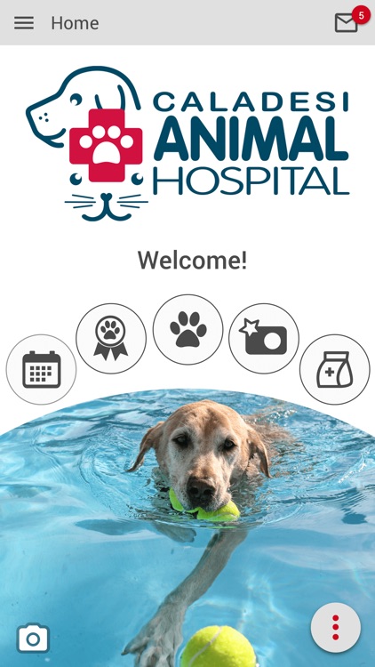 Caladesi Animal Hospital