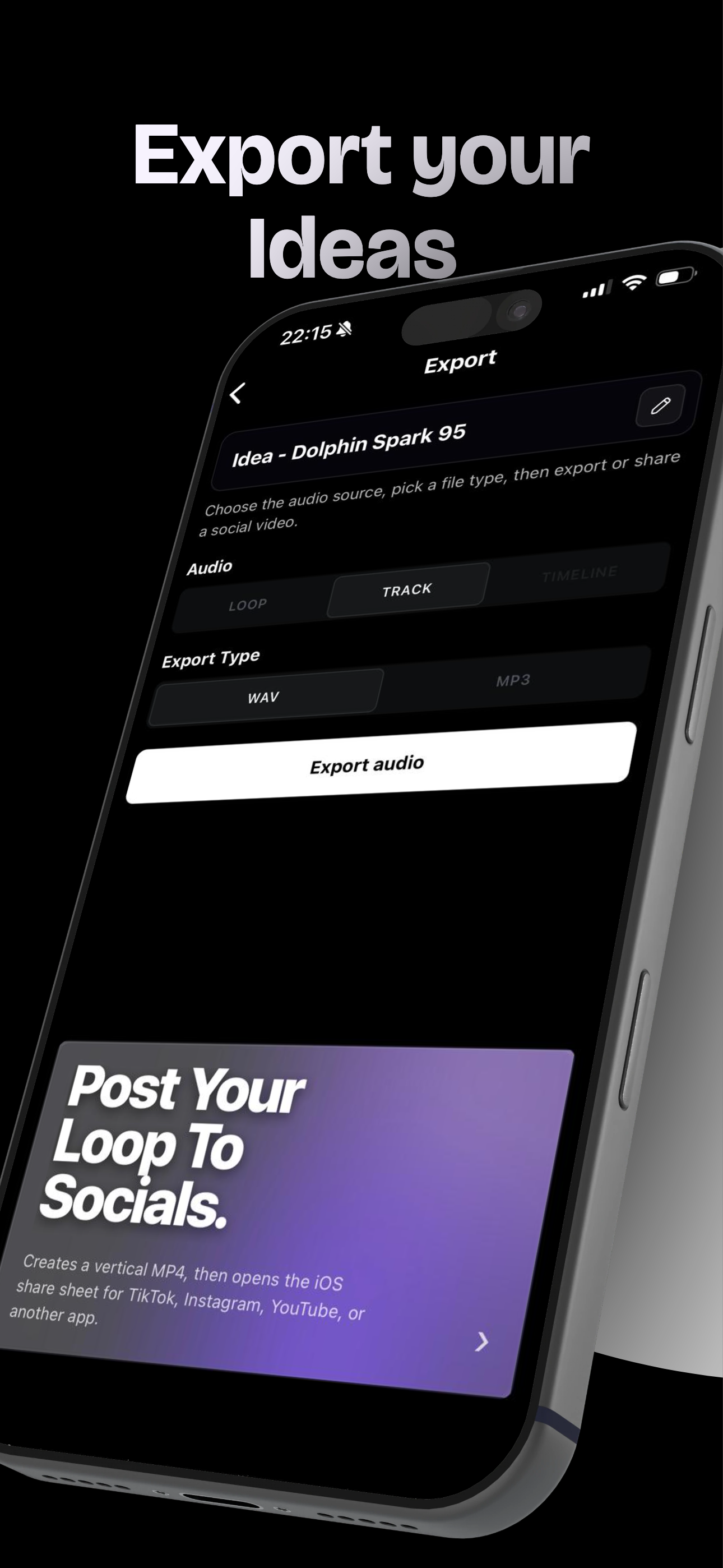 SnippetLoop - audio editor screenshot 8