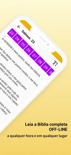 Oração do Dia screenshot 4