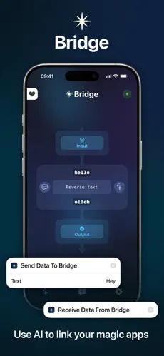 Bridge screenshot