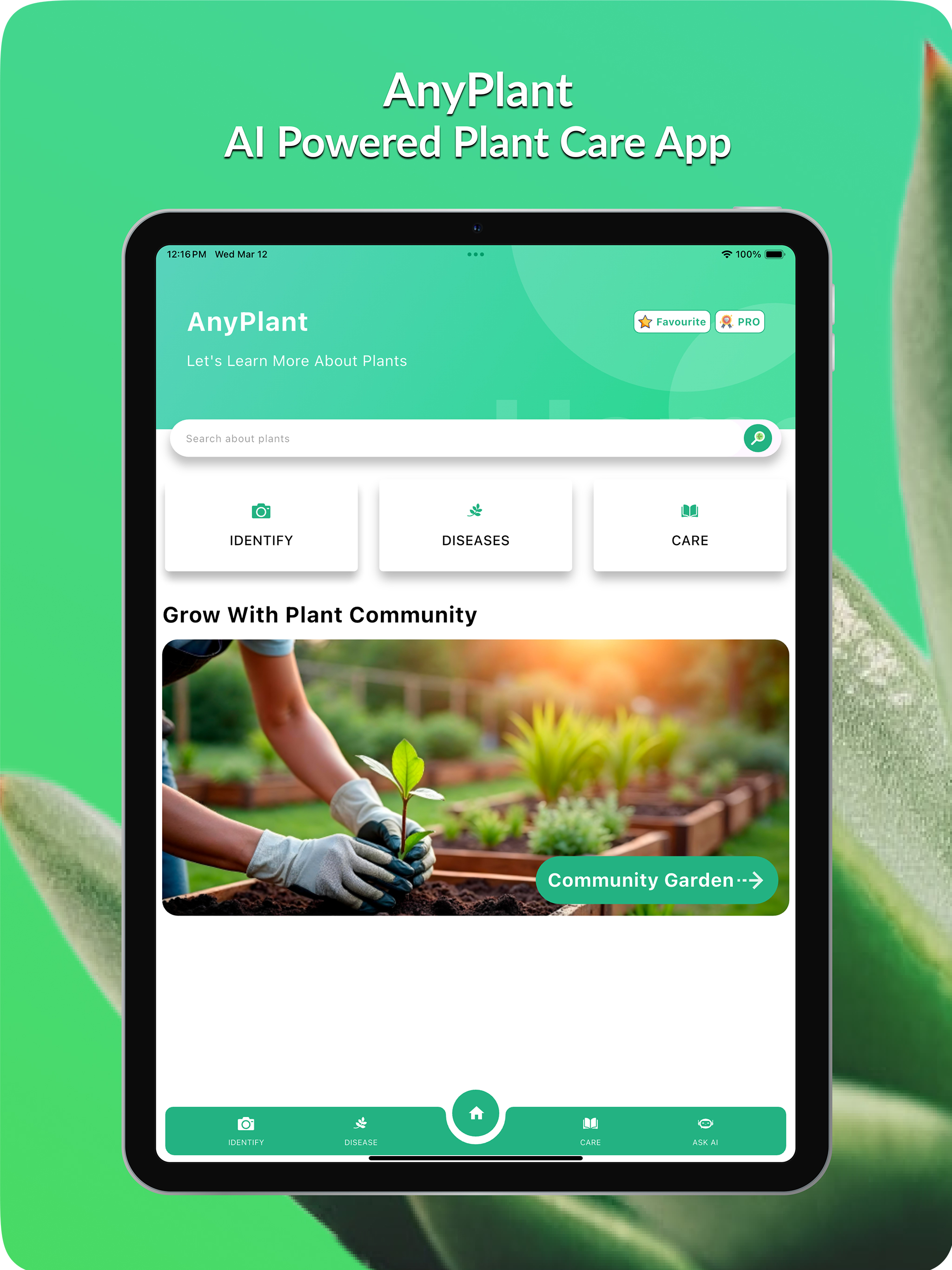 AnyPlant:  Ai Plant Identifier