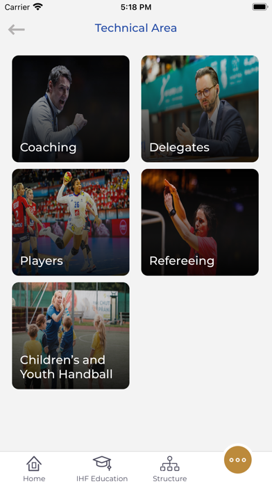 IHF Rule Interpretation Screenshot
