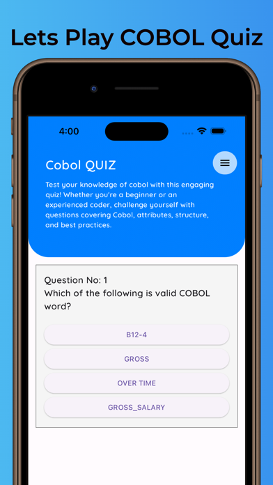 Learn Cobol Programming 2024 Screenshot