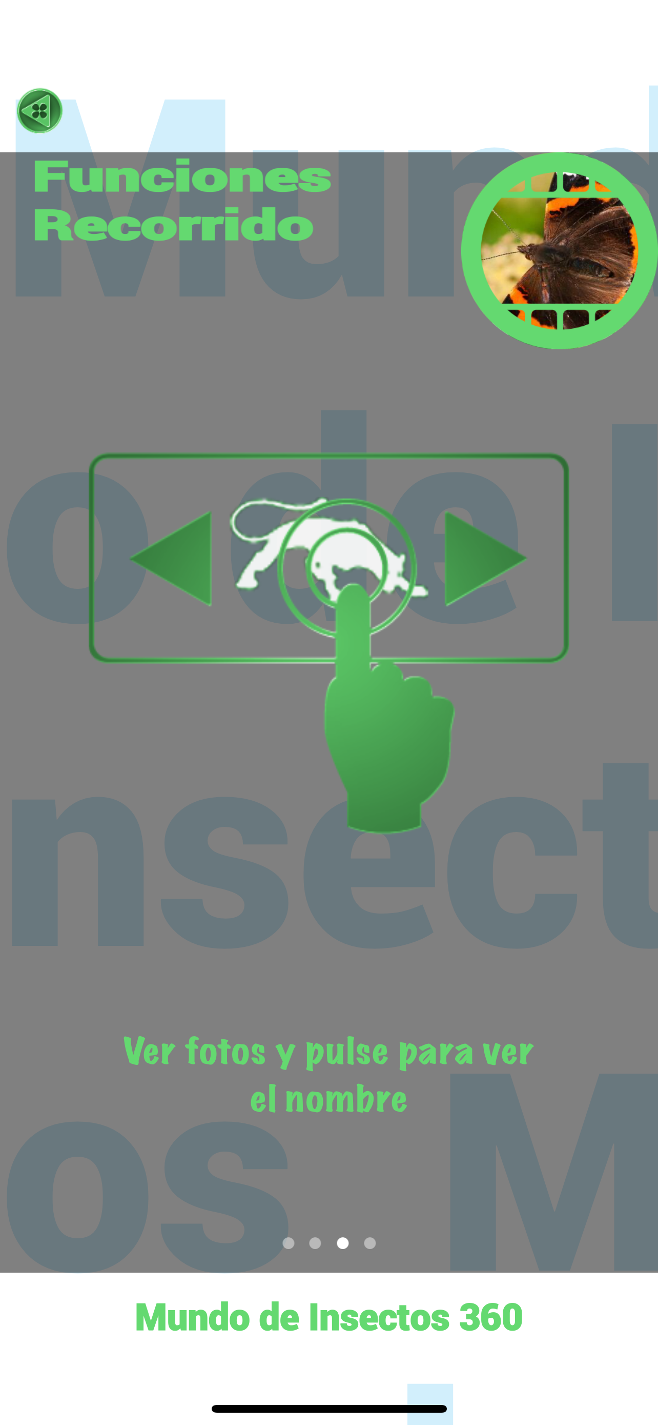 Insectos y arañas