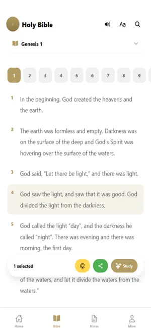Holy Bible - Bible Offline iPhone screenshot 4