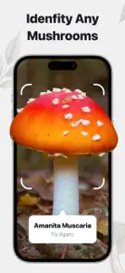 Mushroom Identifier: Fungi screenshot #1 for iPhone