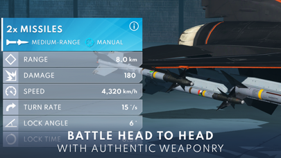 Metalstorm: Fighter Jet Game Screenshot