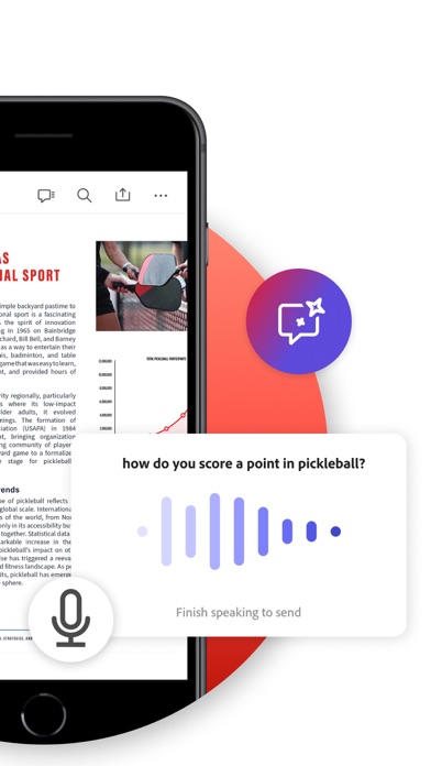 Adobe Acrobat Reader poster
