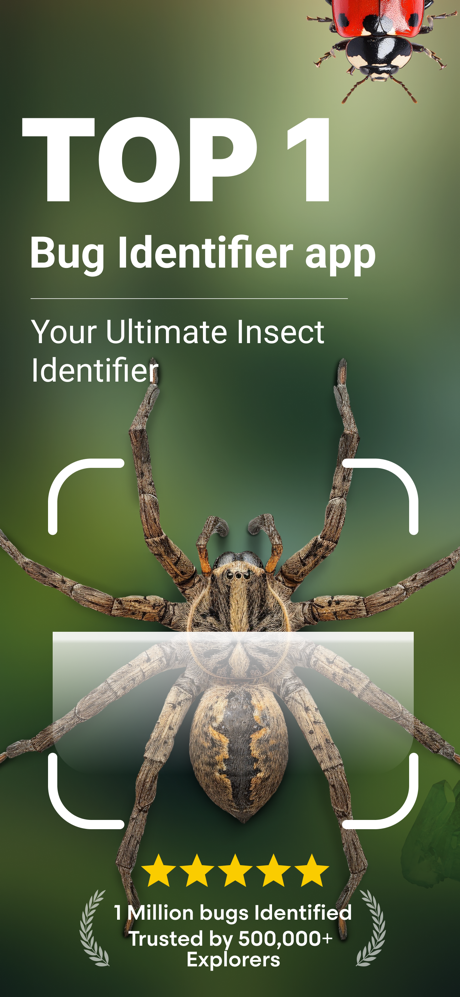 Bug Identifier: Spider Scanner screenshot 1