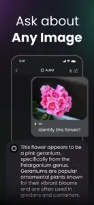 ALNO: AI Chatbot Assistant app screenshot #6 for iPhone