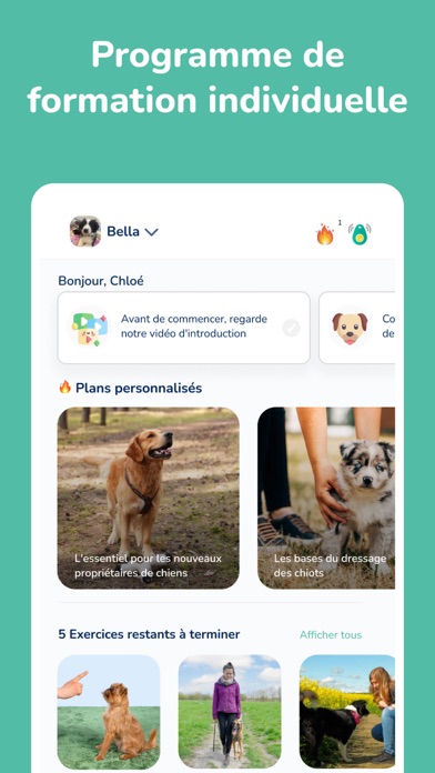 Screenshot #2 pour Hundeo - Éducation chien
