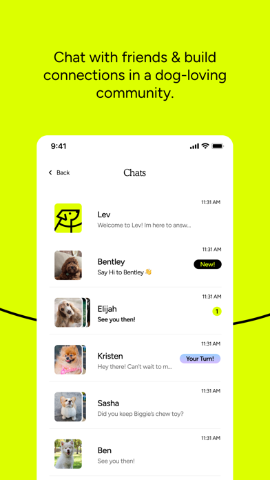 Lev: Meet Dogs & Explore iPhone screenshot 8 - Social Networking app