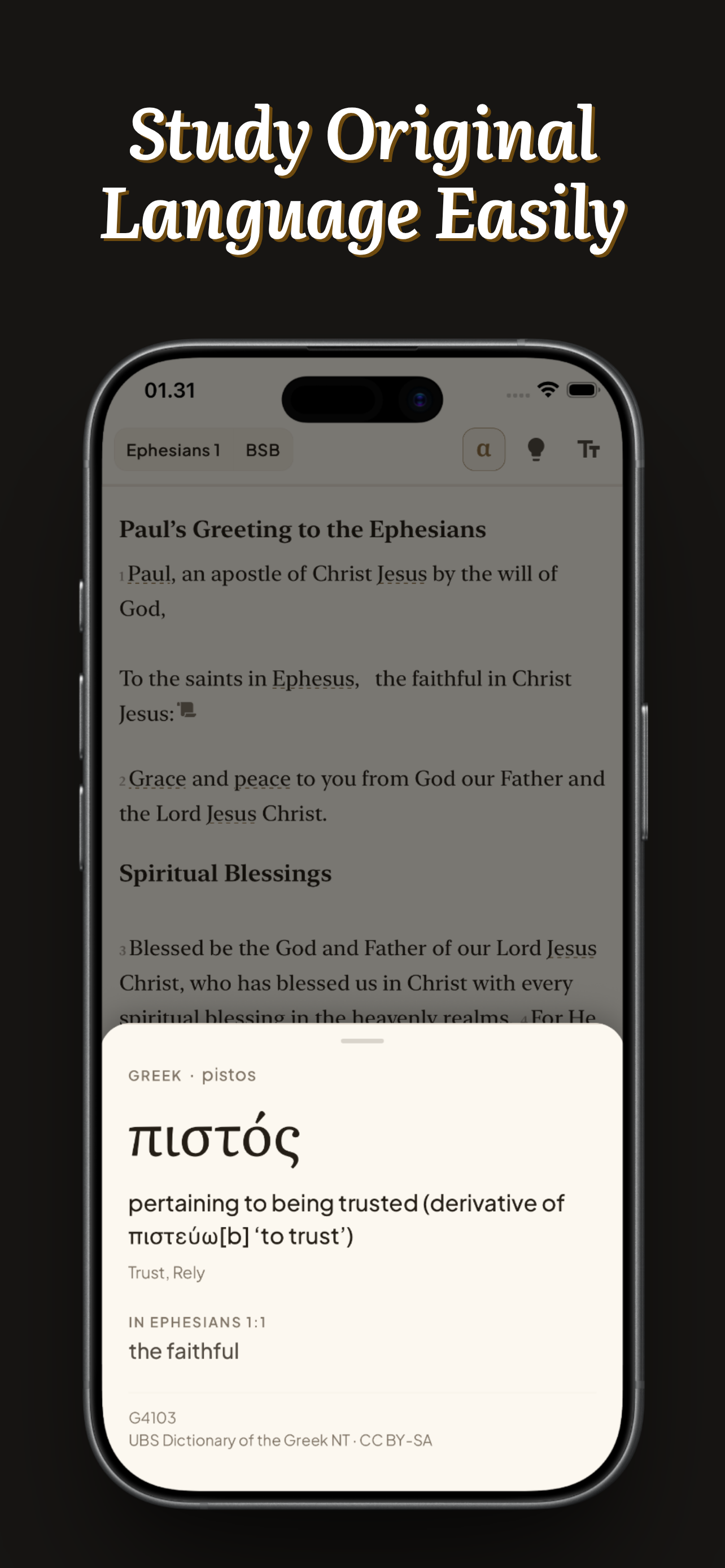 Protos: Bible Study Commentary screenshot 5