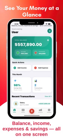 Pocketra: Budget & Expense Log iPhone screenshot