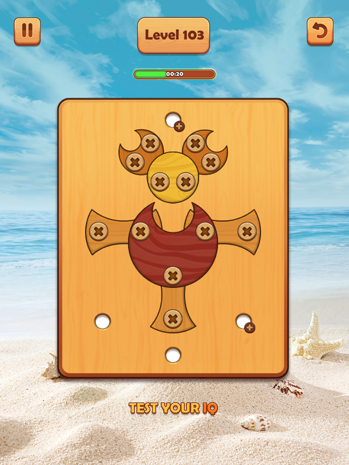 Wood Nuts  Bolts Unscrew