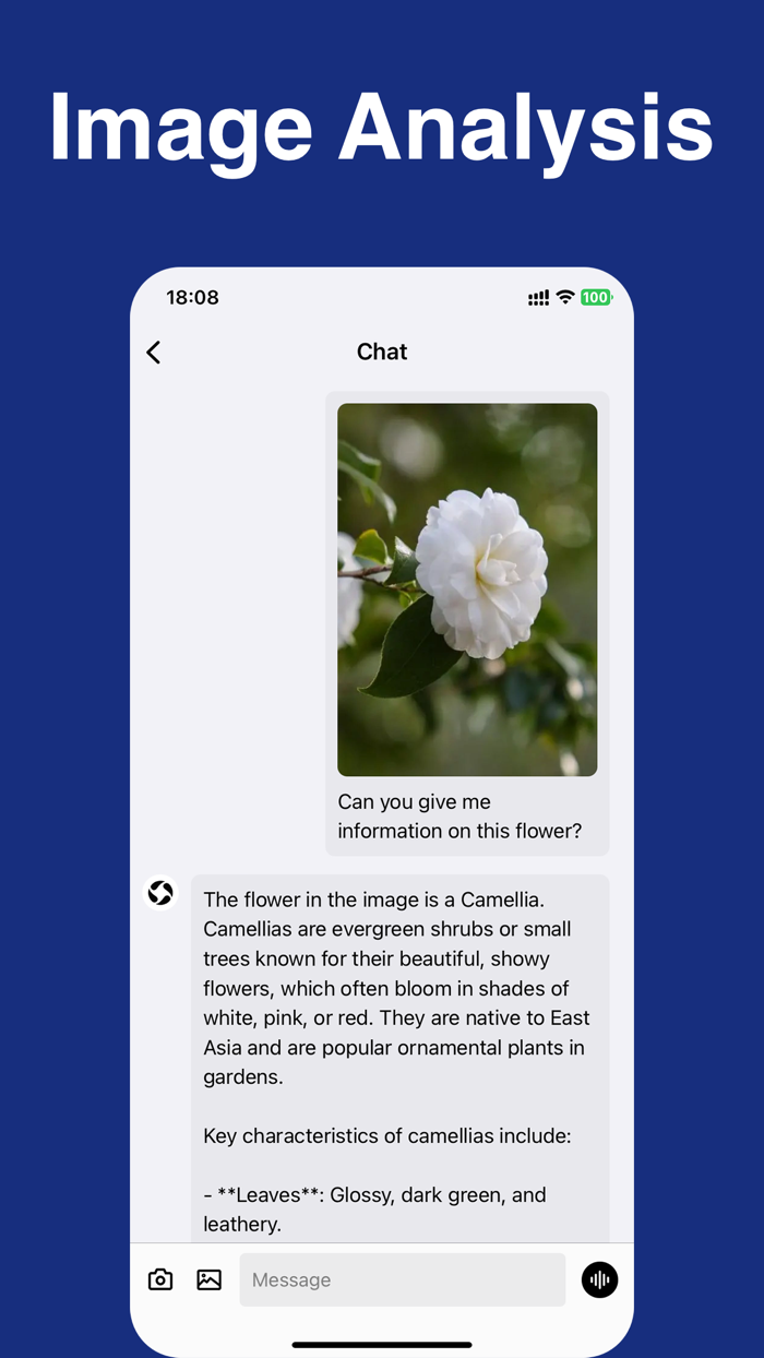 ChatGCM - AI Assistant