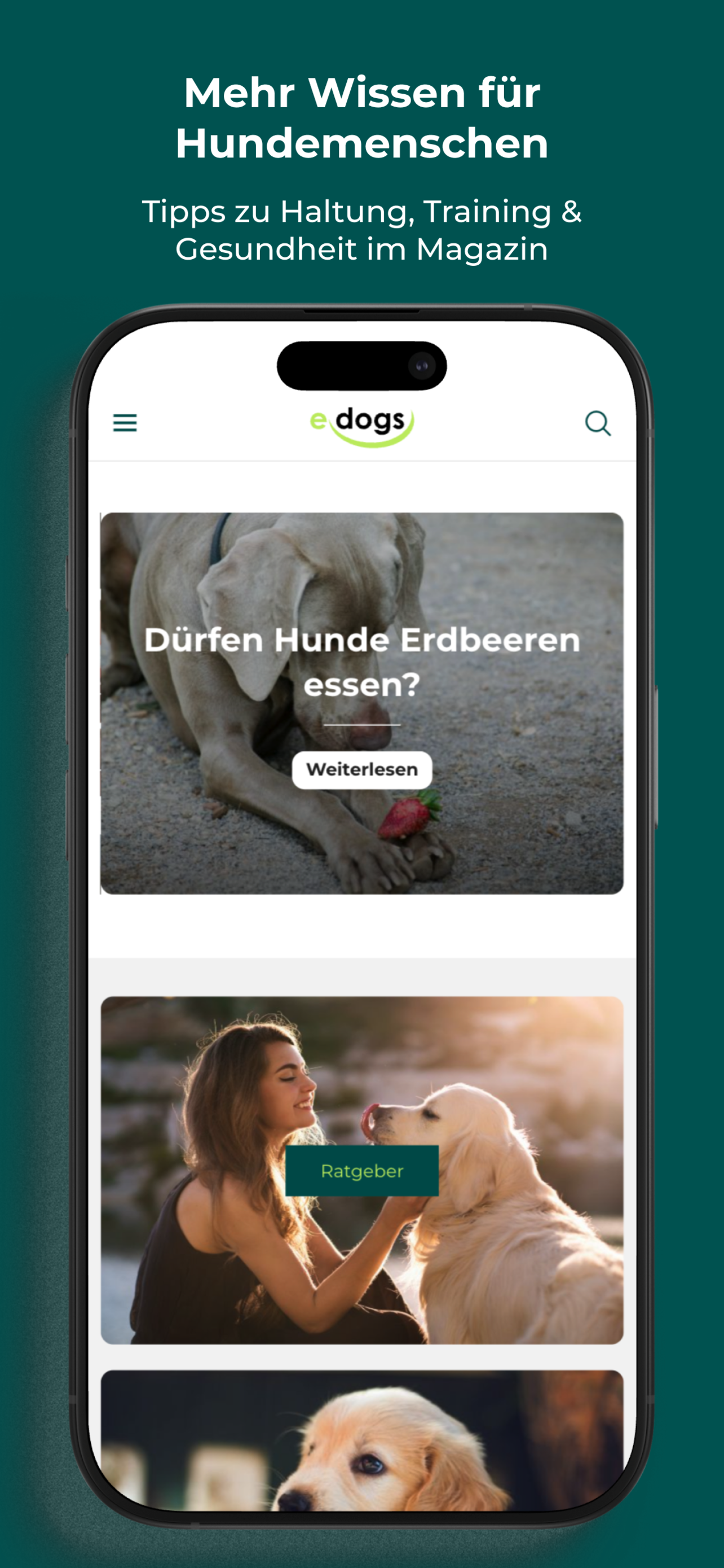 edogs