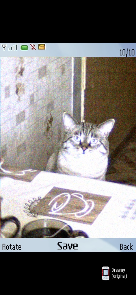 0.3MP Camera - The app vividly displays the charming pixelation and sensor artifacts on subjects like this cat, using the "Dreamy (original)" preset for a distinct vintage look.