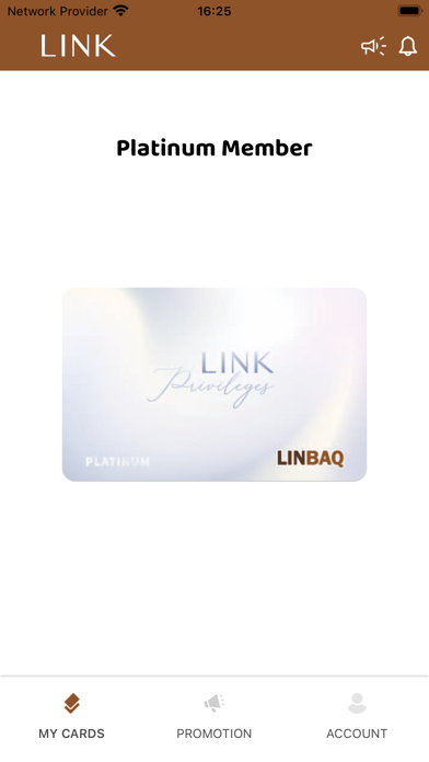 LINK Privileges Screenshot