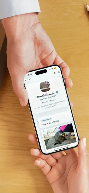 PetSite Factory screenshot 3