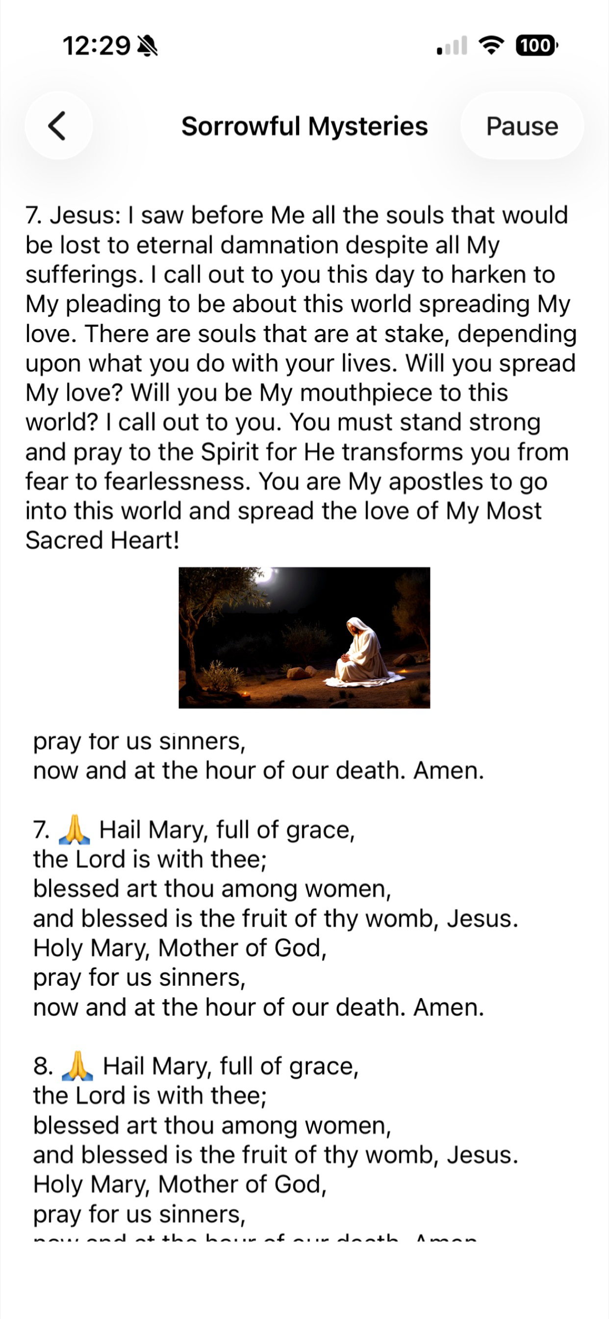 Rosary-Our Lady of Clearwater