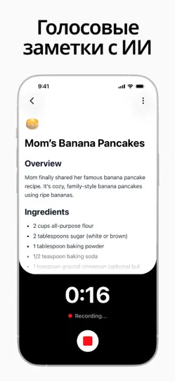 Скриншот Memio AI Voice Notes & Journal на iPhone 3