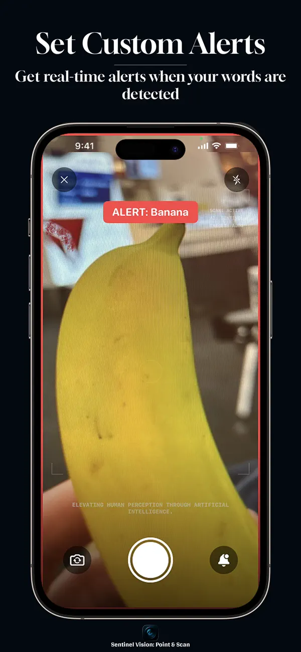 Screenshot #2 pour Sentinel Vision: Point & Scan
