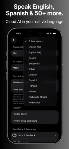 Hone: Voice Notes for Founders screenshot