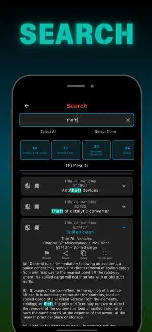 PA CJR 2025 screenshot 2