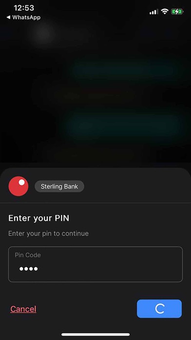 Pay with Vendy Screenshot