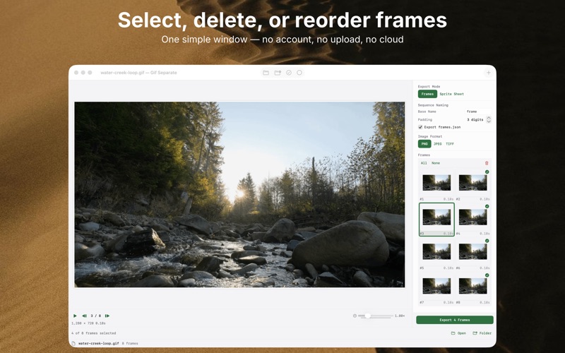Export dialog with frame naming and format options